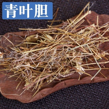 青叶胆，一手货源新货药味重，产地直供道地药材