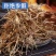 青叶胆，一手货源新货药味重，产地直供道地药材