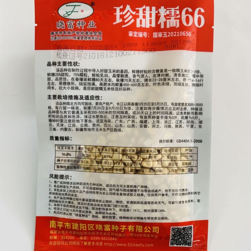 晓富国审玉米种子甜糯鲜香绿皮大棒珍甜糯66白甜糯玉米种子
