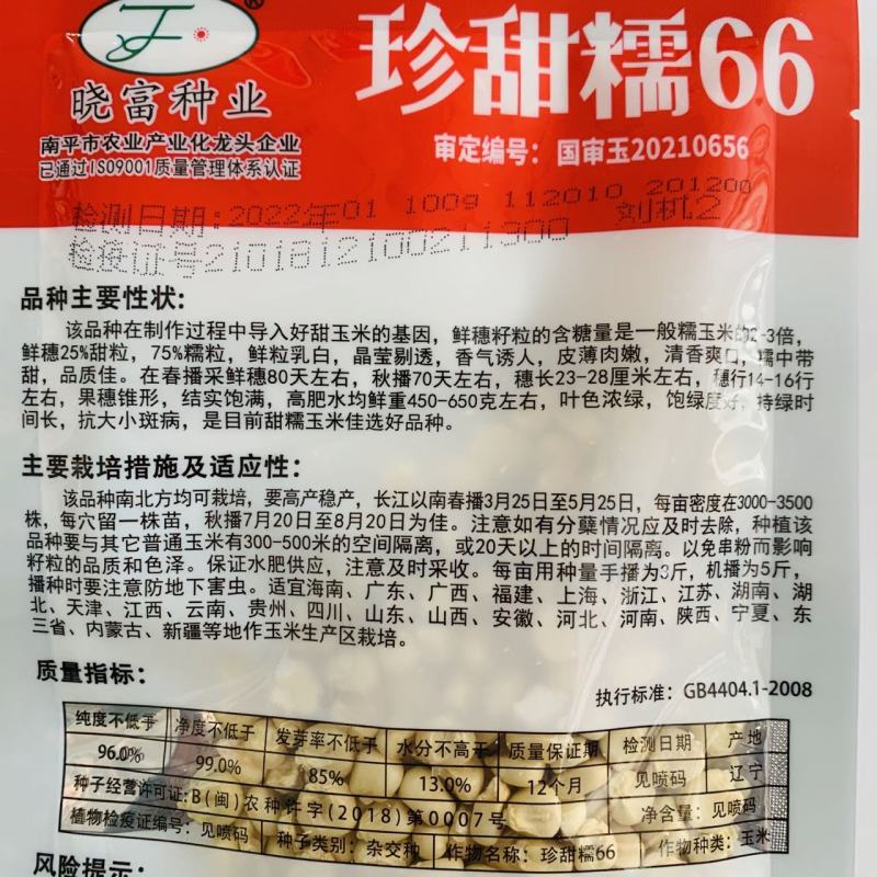 晓富国审玉米种子甜糯鲜香绿皮大棒珍甜糯66白甜糯玉米种子