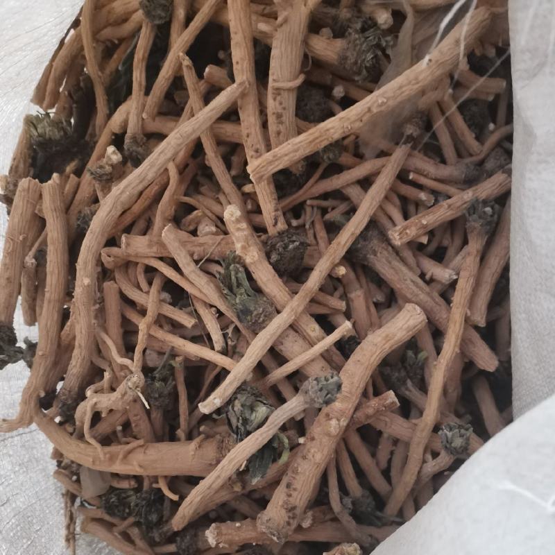 板蓝根