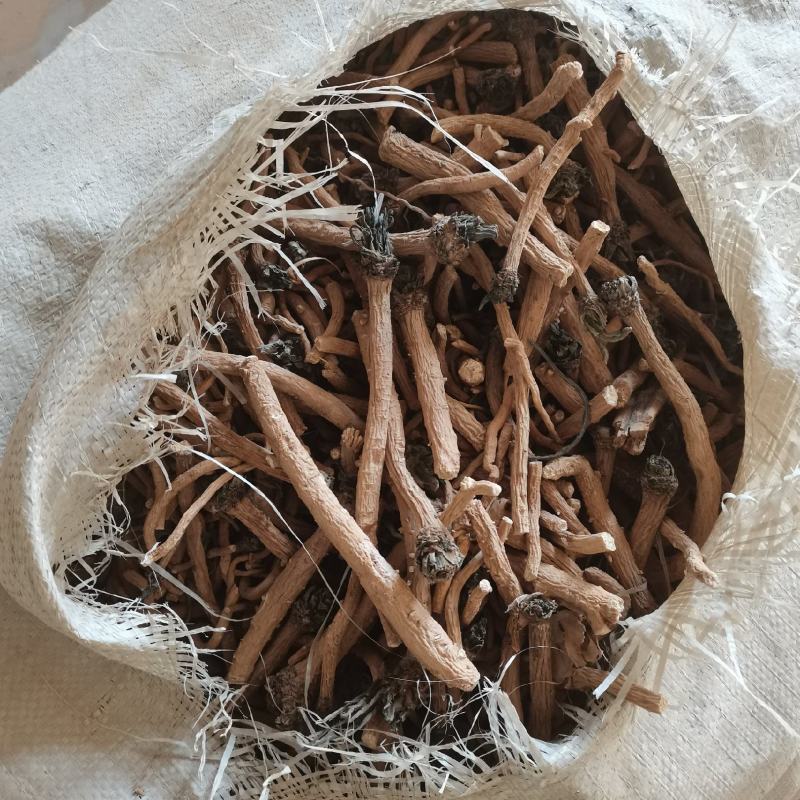 板蓝根