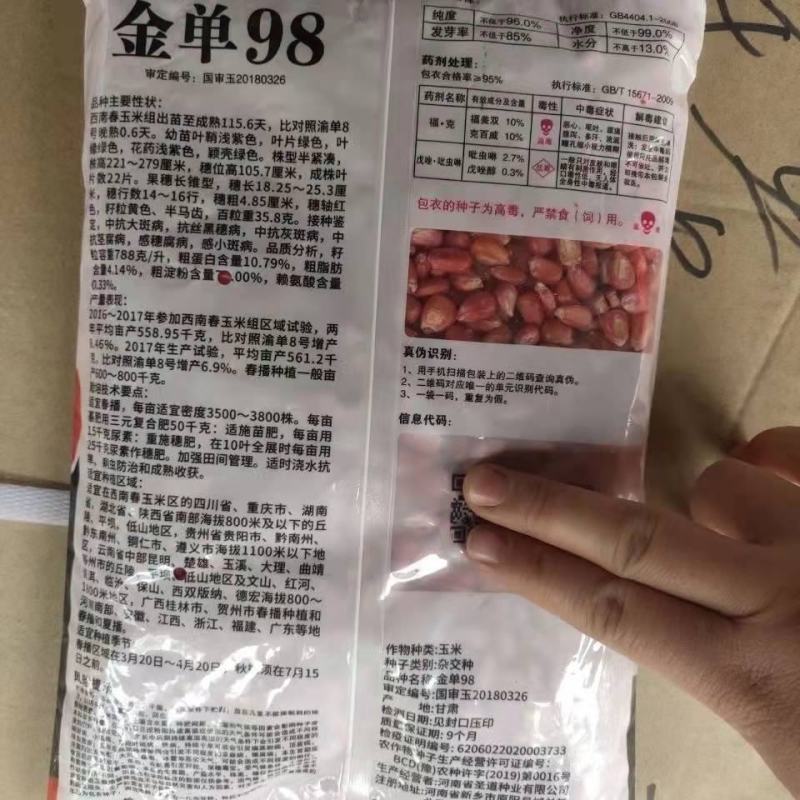 金单98红轴玉米种子，1千克，高产抗病