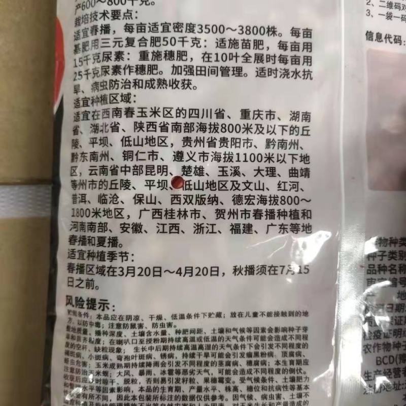 金单98红轴玉米种子，1千克，高产抗病