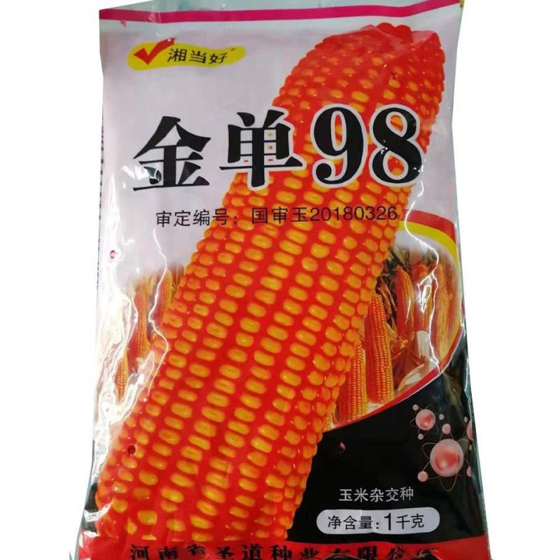 金单98红轴玉米种子，1千克，高产抗病