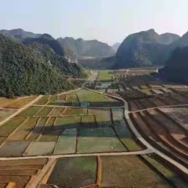 土地出租