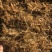 全株玉米秸秆青贮黄贮牛羊饲料稻谷草青储黄储一手货源