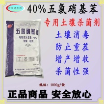 40%五氯硝基苯土壤专用杀菌剂土壤消毒杀菌性强防治重茬