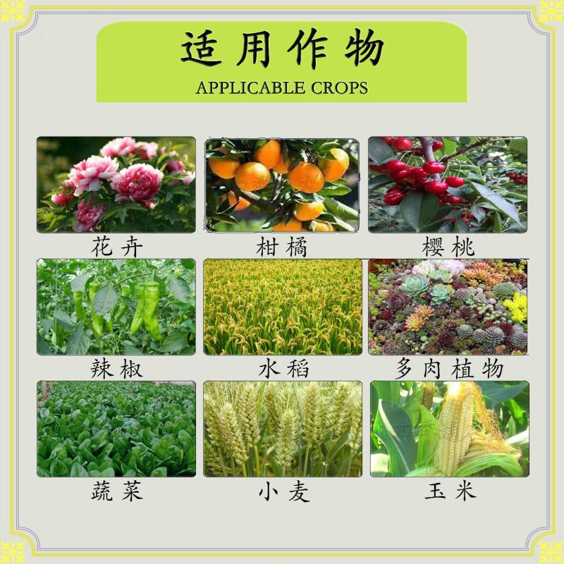 40%五氯硝基苯土壤专用杀菌剂土壤消毒杀菌性强防治重茬