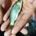 鲫鱼苗，大量出售，量大从优，厂地直销，送货上门，欢迎订购