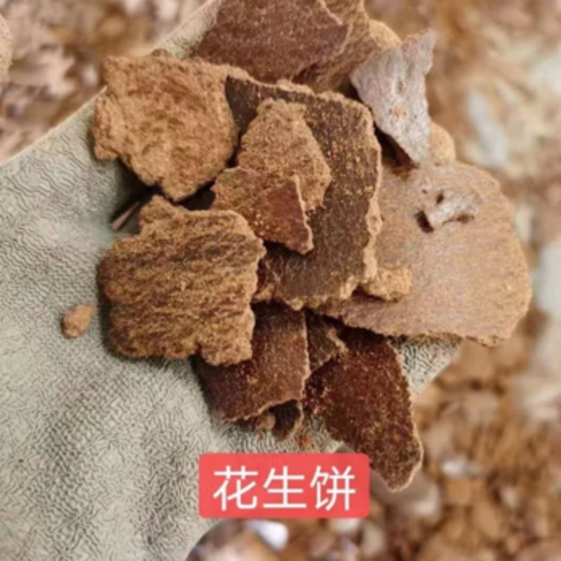 【热销】花生饼适用于饲料厂添加养殖厂有花生的香味