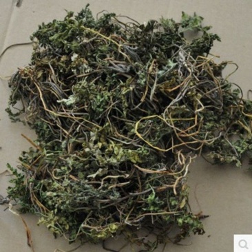 阴地蕨一手货源新货药味重,产地直供道地药材,保证正品