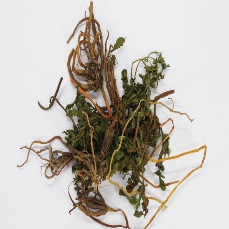 阴地蕨一手货源新货药味重，产地直供道地药材，保证正品