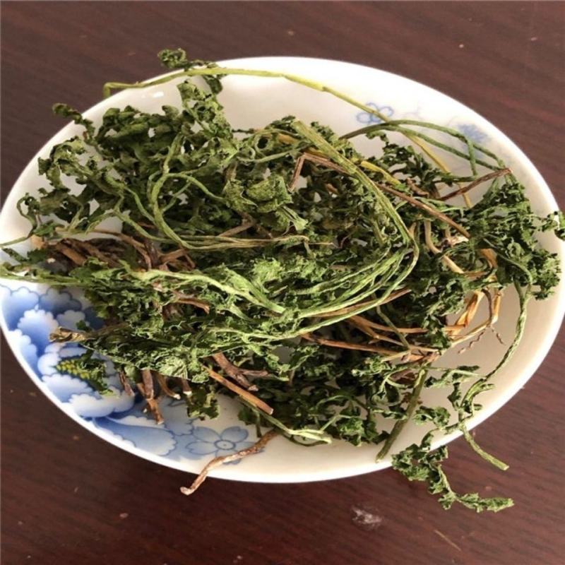 阴地蕨一手货源新货药味重，产地直供道地药材，保证正品