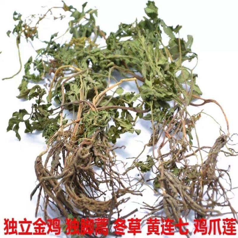阴地蕨一手货源新货药味重，产地直供道地药材，保证正品