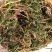 阴地蕨一手货源新货药味重,产地直供道地药材,保证正品