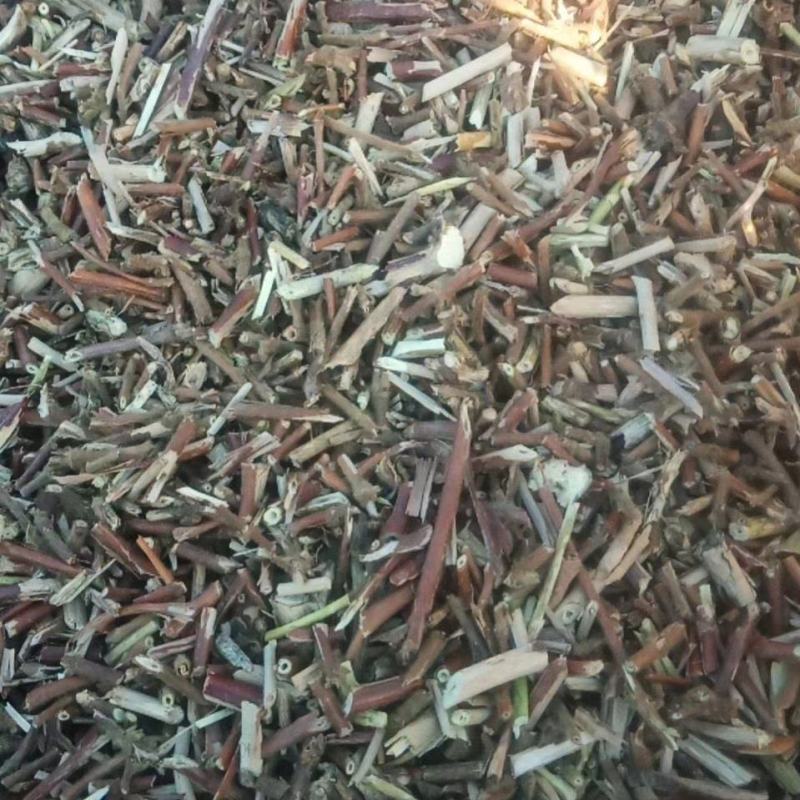 金银花藤忍冬藤中药材二花藤免费磨粉大量有货