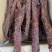 商家热推：实力厂商供货里脊大块肉五香味麻辣味牛肉风味批发