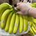进口精品黄金蕉30斤装，果面干净，保证质量坏果包赔