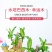 巴西幸运木水培花卉室内阳台办公桌四季常青绿植