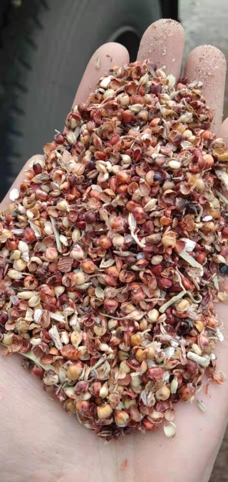 【热销】高粱壳适用于养殖场用于牛羊鸭子鹅草料常年有货