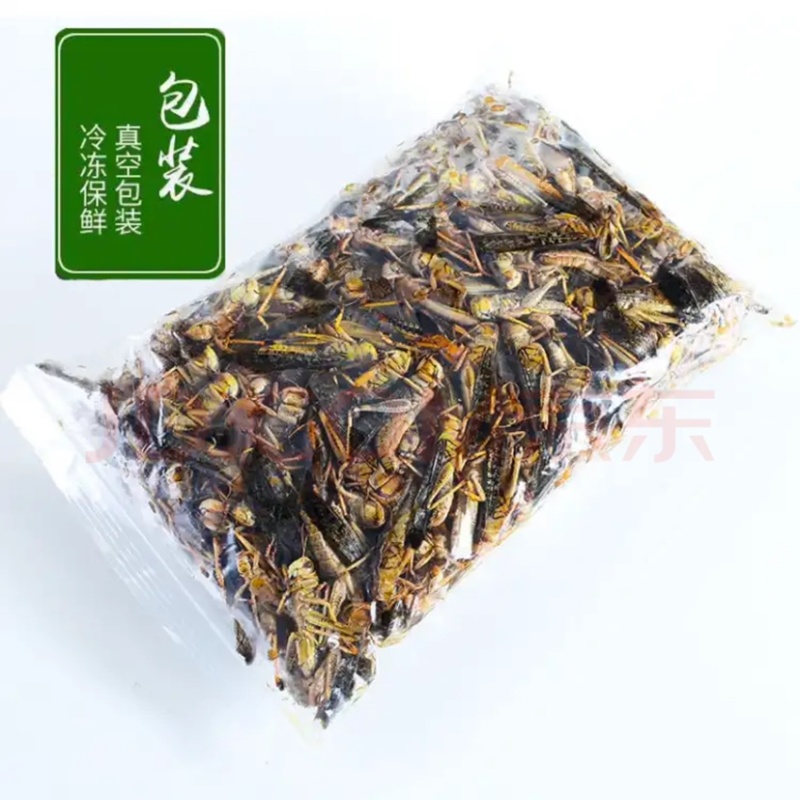 蚂蚱食用