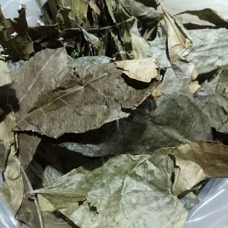 山香园叶，一手货源新货药味重，产地直供道地药材，保证正品