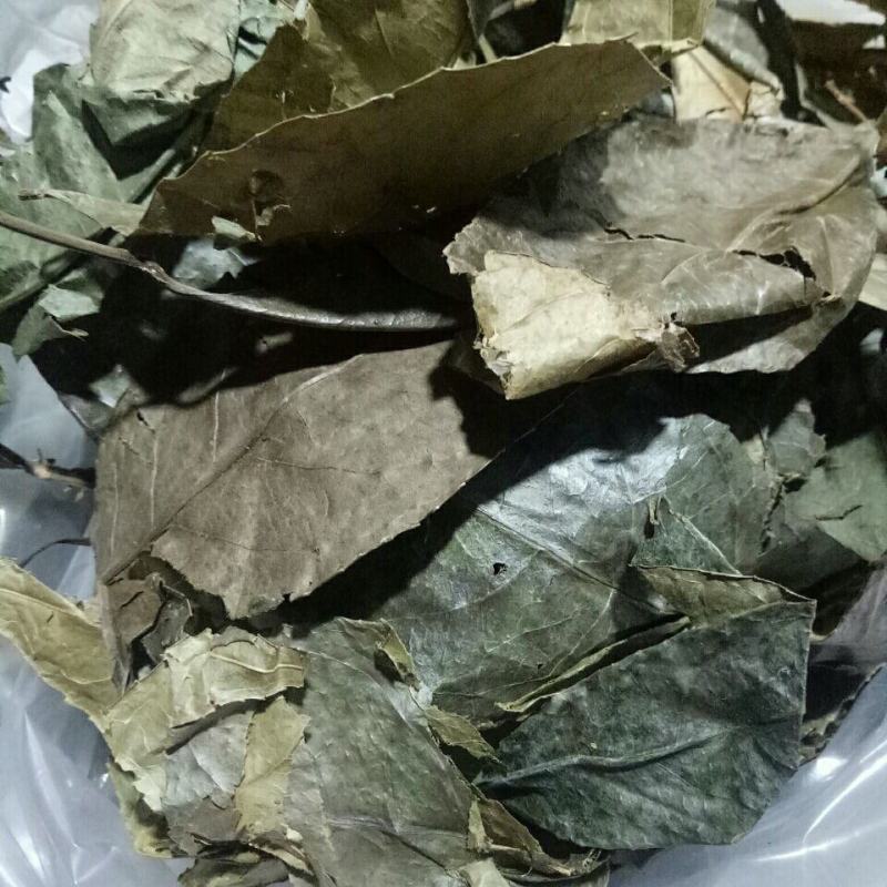 山香园叶，一手货源新货药味重，产地直供道地药材，保证正品