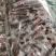 手撕牛肉干，手撕猪肉干，腿子肉，麻辣五香味