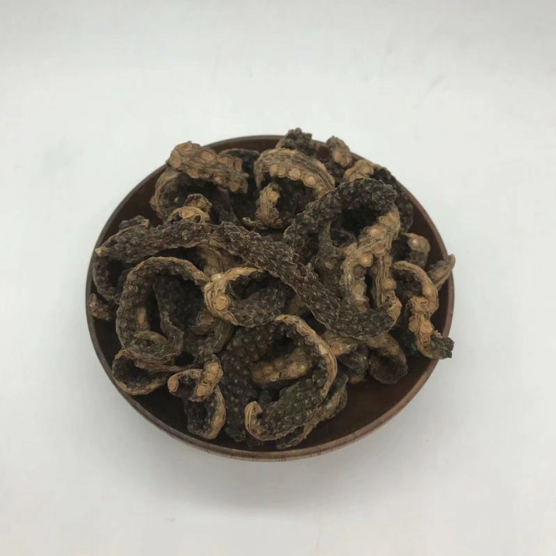 芦子，一手货源，产地直供道地药材，云南新货品质保证