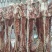 羊蝎子、羊脊骨、草原羊脊骨带肉量大优惠【一件代发】