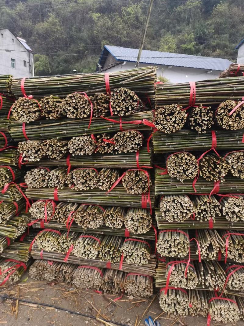 精品竹子批发