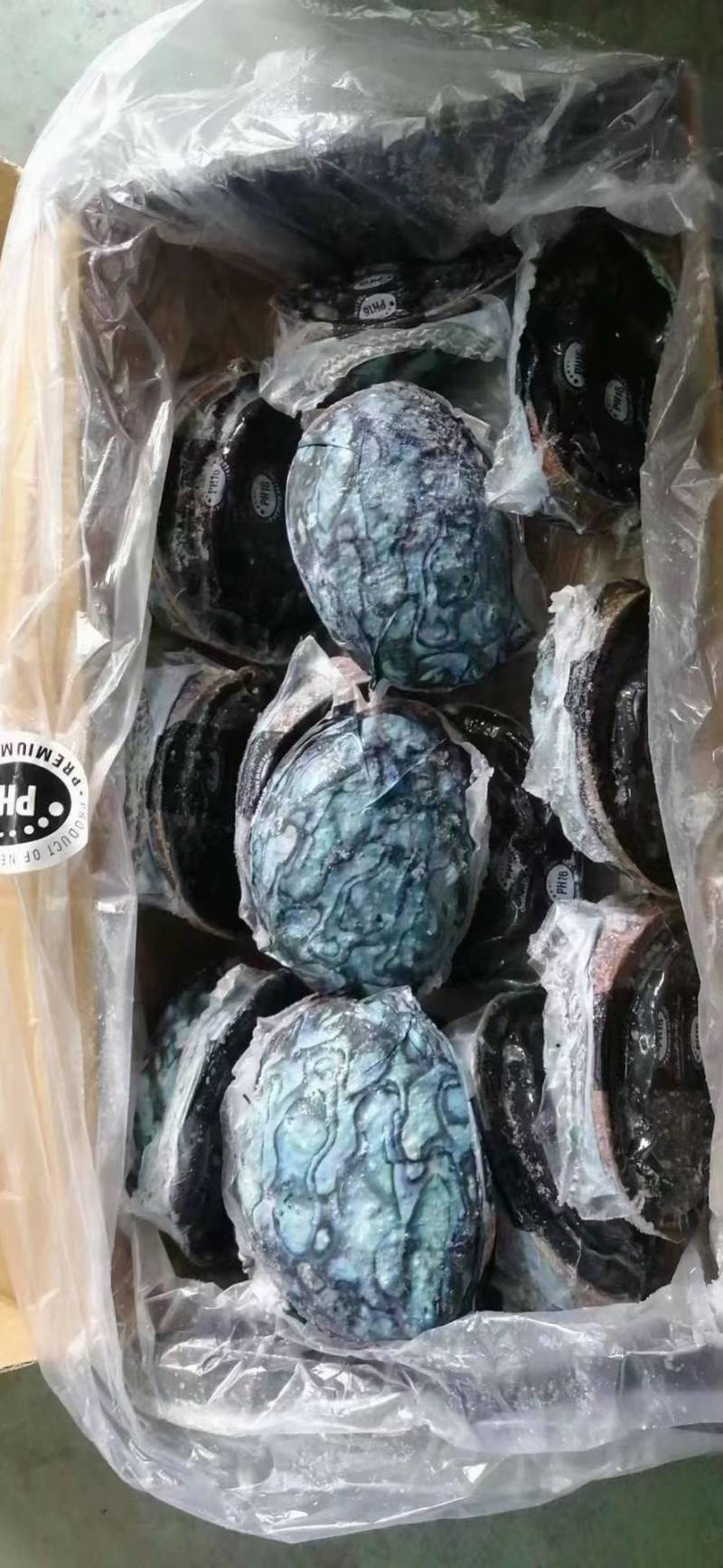 【黑金鲍】