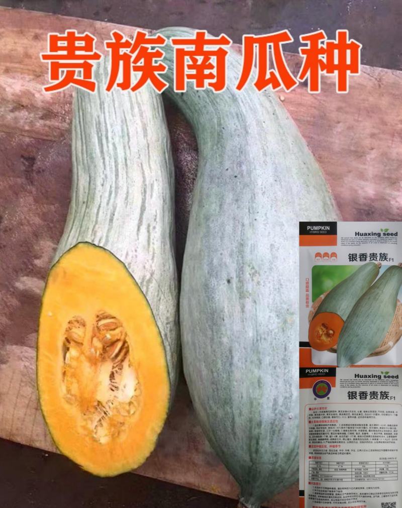 贵族南瓜种子新疆丑瓜新奇特板栗味稀有四季农家大田蔬菜