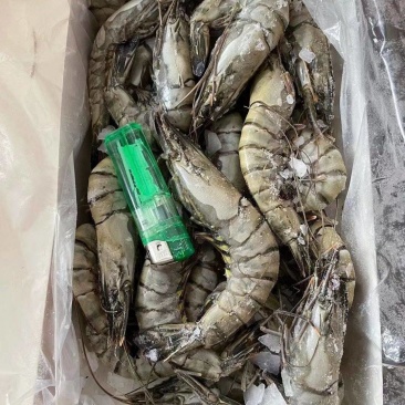 黑虎虾鲜度好