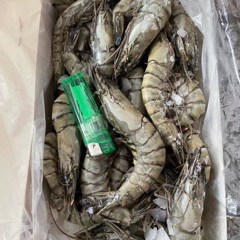 黑虎虾鲜度好