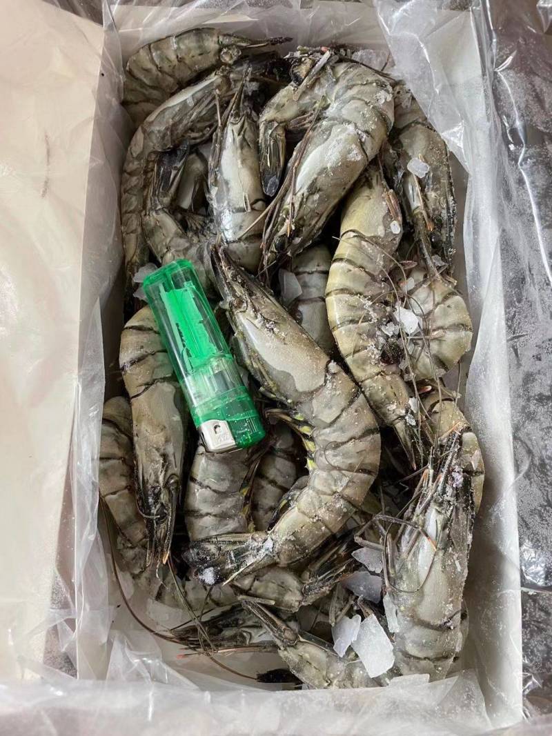 黑虎虾鲜度好