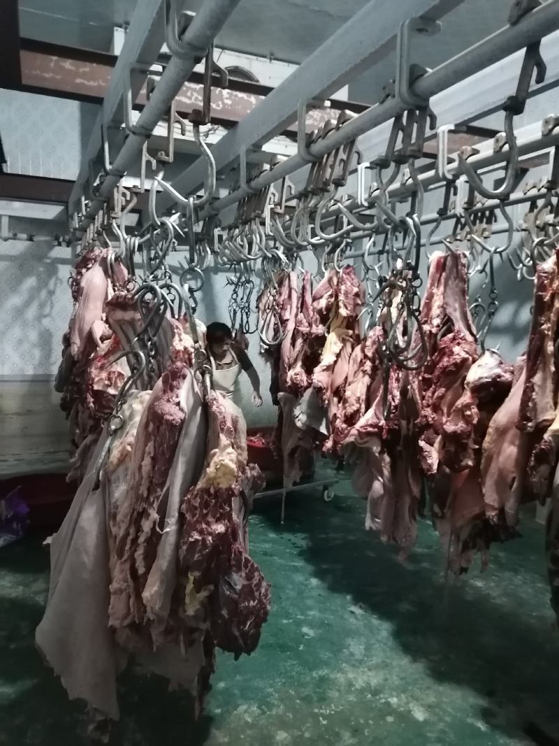 鲜驴肉带皮驴肉去驴肉精修去油纯干货无注水