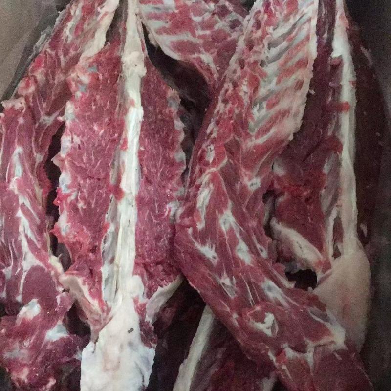 加肉羊蝎子