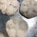 墨鱼饼厂家直销