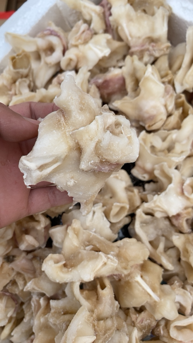 鱿鱼脖子烧烤食材火锅食材鱿鱼鱿鱼头鱿鱼须鱿鱼花尤鱼