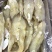 马友鱼