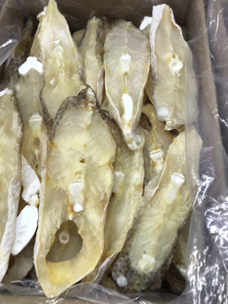 马友鱼