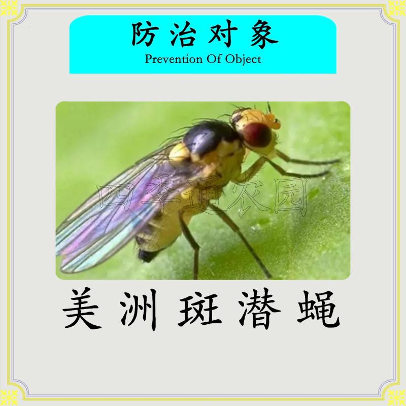 牛呗75%灭蝇胺杀虫单美洲斑潜蝇专用药内吸杀虫杀虫剂