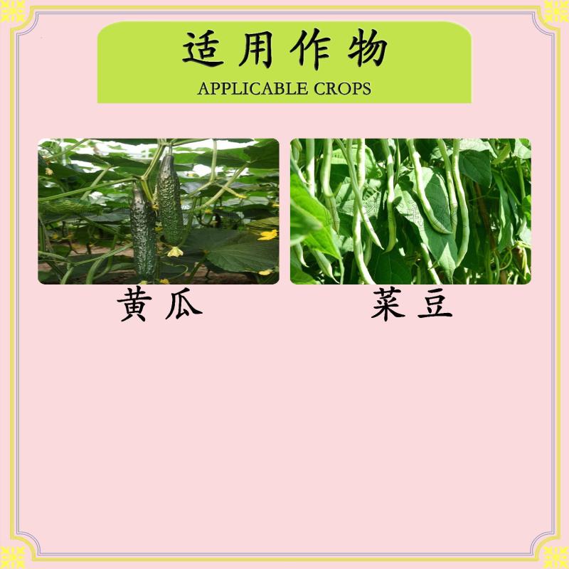 牛呗75%灭蝇胺杀虫单美洲斑潜蝇专用药内吸杀虫杀虫剂
