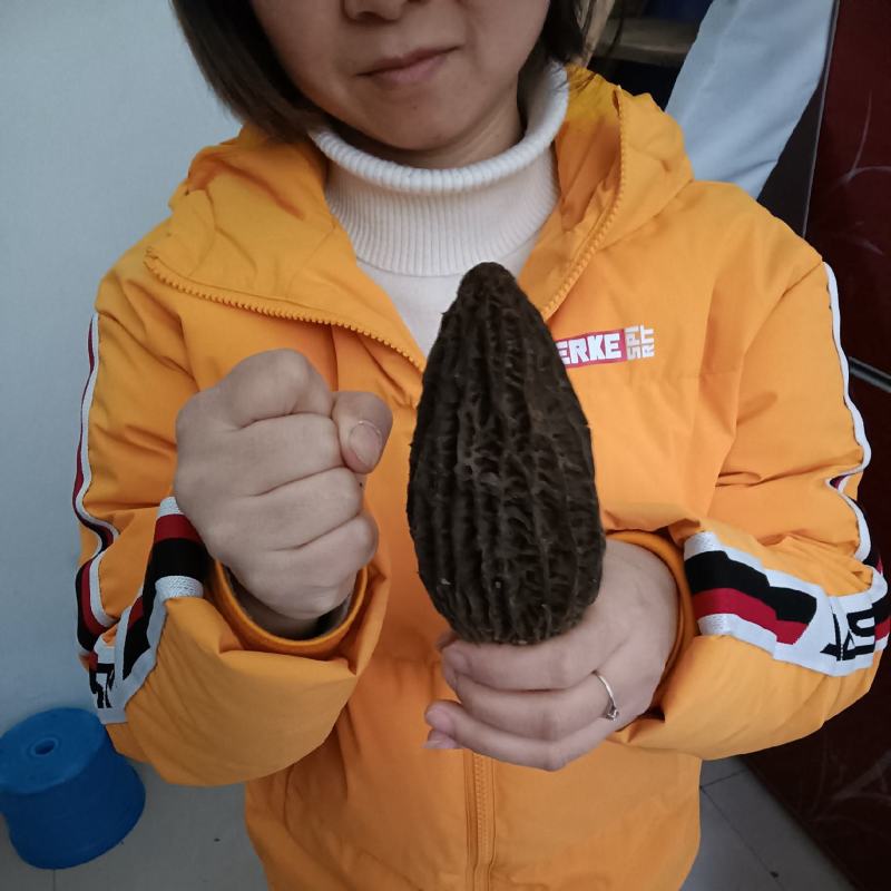 欢迎各位老板前来收购