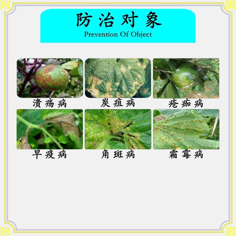 美国杜邦46%氢氧化铜溃疡病炭疽病角斑病早疫病杀菌剂
