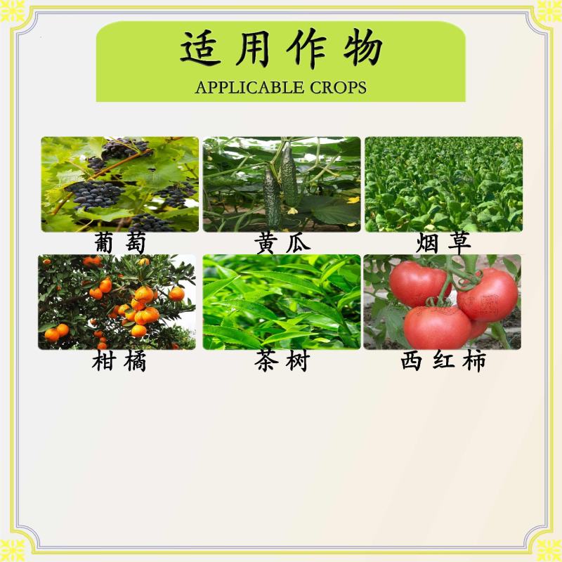 美国杜邦46%氢氧化铜溃疡病炭疽病角斑病早疫病杀菌剂