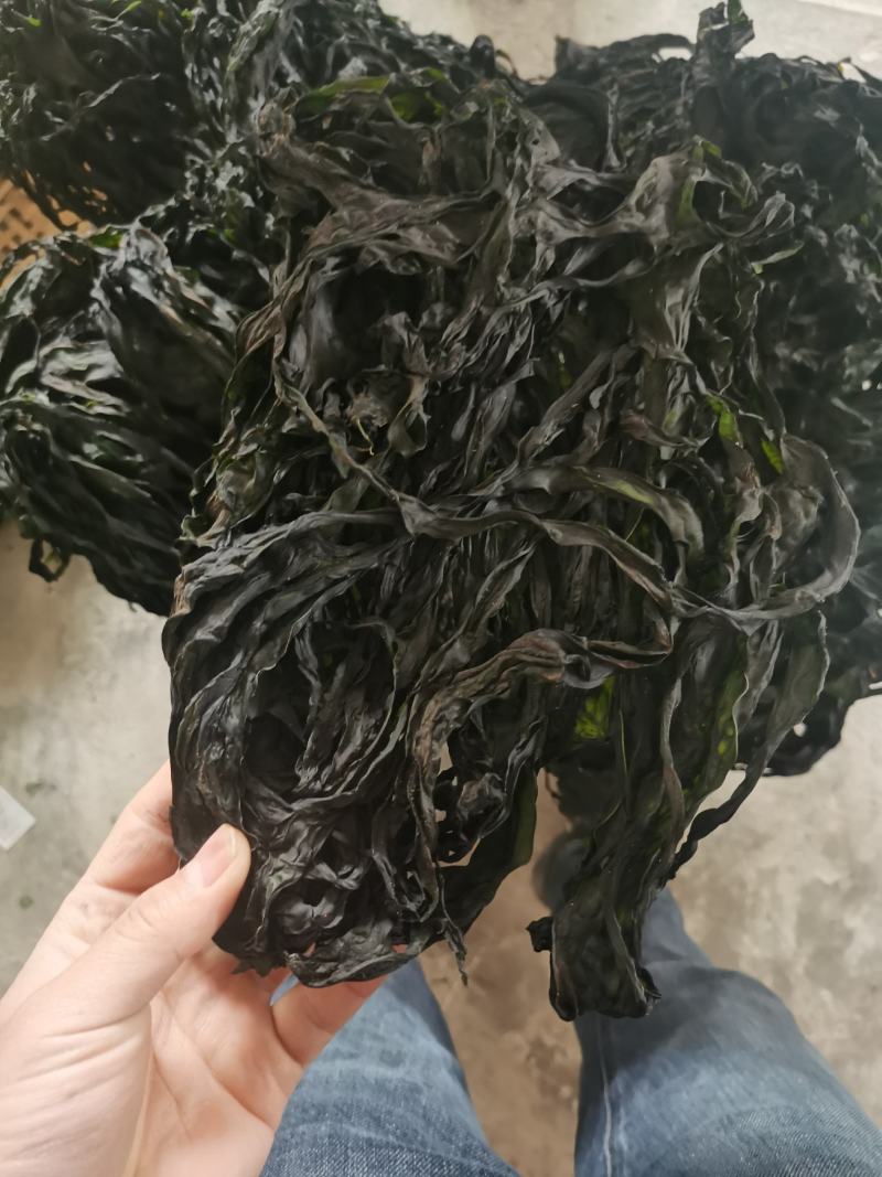 烘干水洗脱盐无沙裙带菜散装2斤装