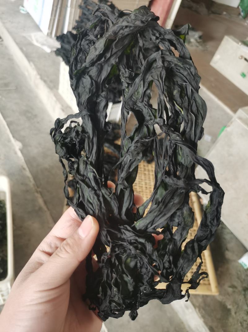 烘干水洗脱盐无沙裙带菜散装2斤装